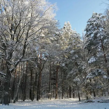 Am Reethaus Komptendorf