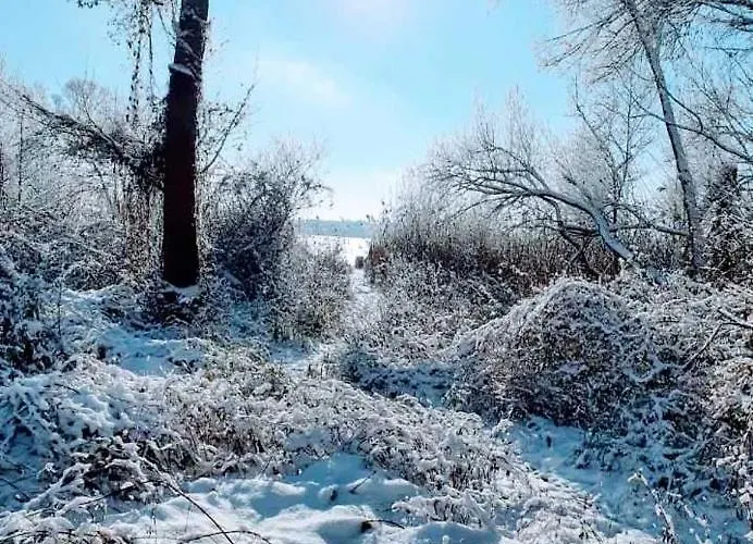 Apartamento Am Reethaus