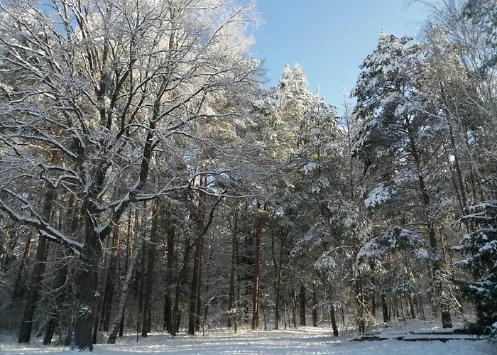 Am Reethaus Komptendorf